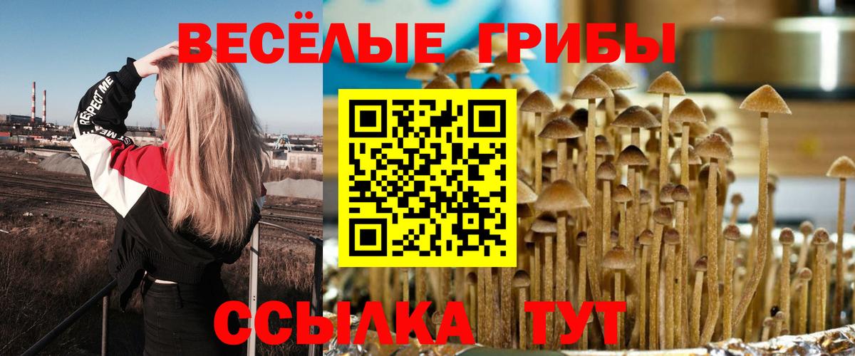 Обнинск  Галлюциногенные грибы мицелий  где купить наркоту  Вход с VPN 
